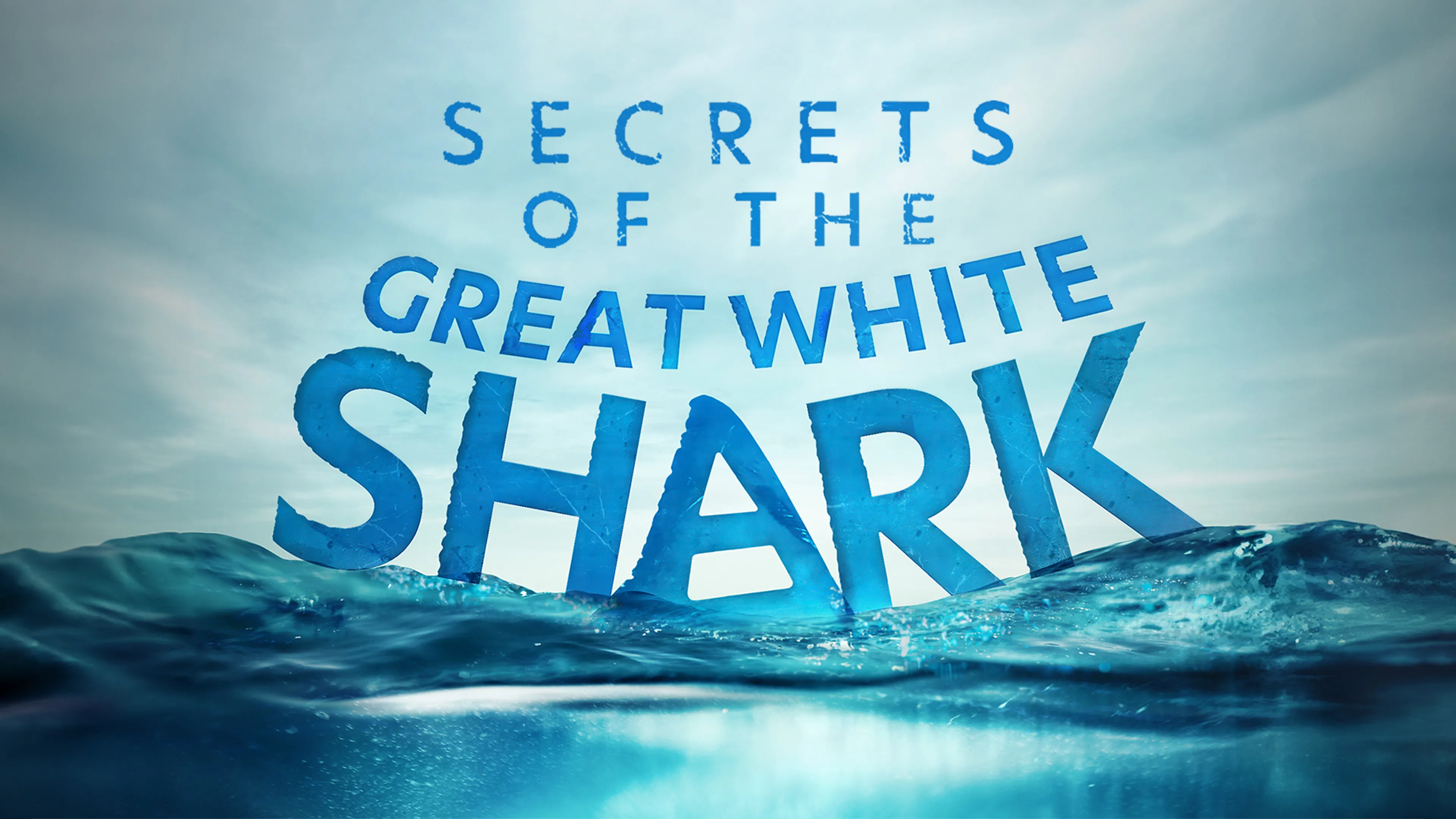 Secrets of the Great White Shark poster